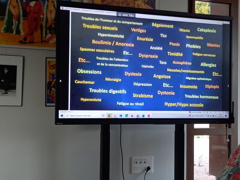Réunion d'informations: La neuropédagogie